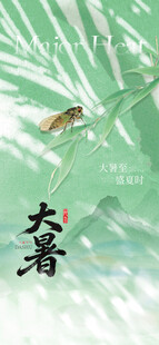 大暑时节小鸟栖于绿叶间