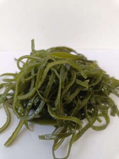 海带丝图片