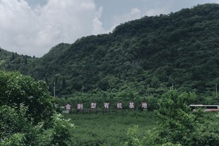 山间绿意中的建筑景观