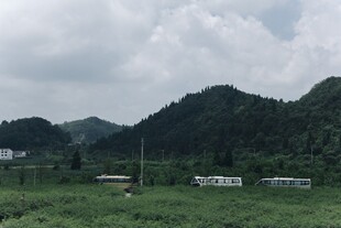 山间绿野中的宁静景象