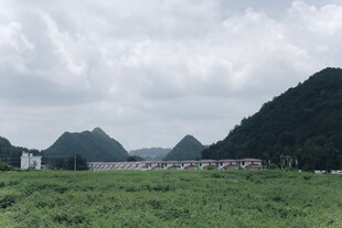 绿野青山间的田园风光