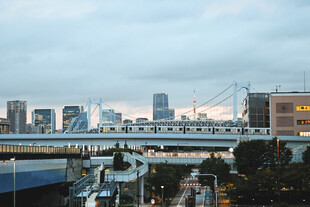 城市高架桥与天际线景观