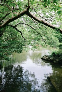 林间溪流