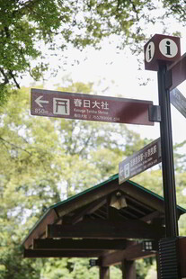 森林中的方向指示路标