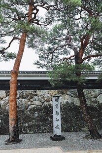 日式庭院景观中的松树与碑