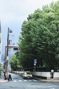 城市街道绿树旁的车辆行人