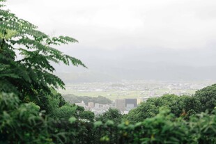 山林间远眺朦胧城市景色