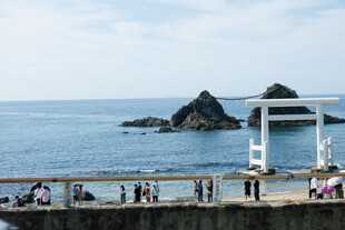 海边鸟居景观