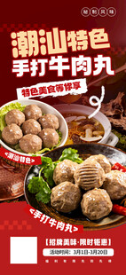  潮汕牛肉丸