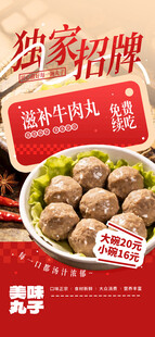 潮汕牛肉丸