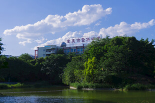 湖畔绿树掩映下的建筑
