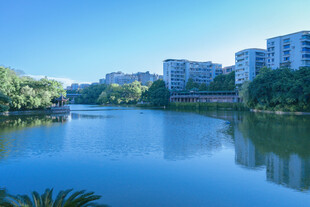 湖畔城市风光