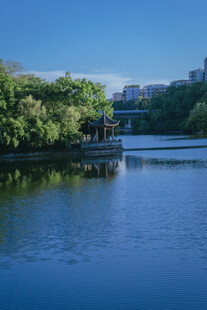 宁静湖畔风光
