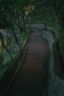 林间幽静步道