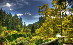 山林间的多彩美景