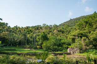 山林绿野间的静谧景致