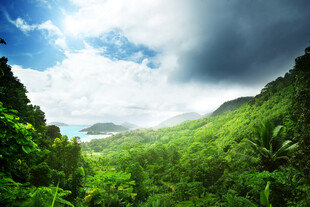 翠绿山谷间的自然美景