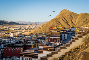 西藏壮丽寺院与山城景观