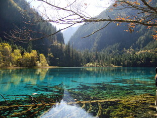 九寨沟绝美湖景风光