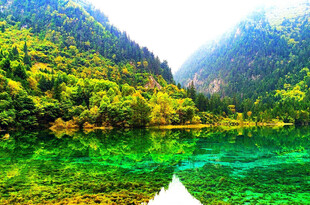 翠绿山水间的静谧湖泊