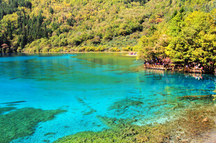 梦幻蓝湖山林环绕之美景