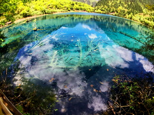 梦幻水下世界倒影如画