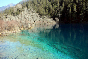 九寨沟清澈碧蓝的湖水