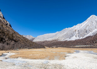 雪山下的开阔谷地风光