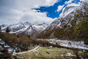 雪山下的山谷风光