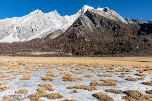 雪山下的广袤原野