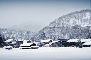 冬日雪村静谧美景