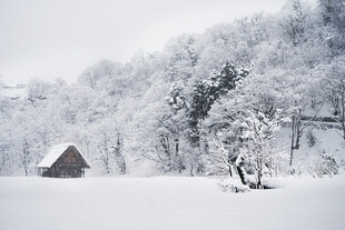 雪覆山林中的小屋