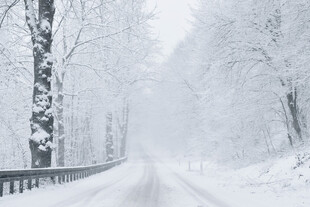 雪覆道路与树木的冬日景象
