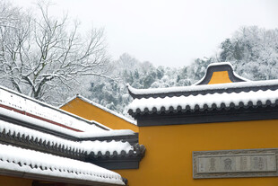 雪覆古建黄墙静谧之景