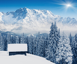 雪覆山林间的静谧小屋