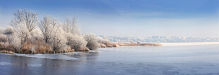 冬日冰封河岸雪景图