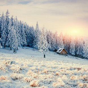 冬日雪林美景中的温馨小屋