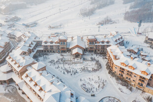 冬日雪覆小镇全景