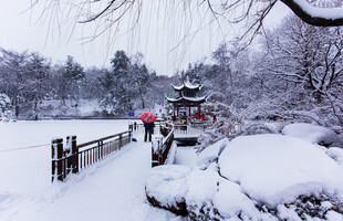 雪后园林美景