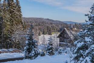 冬日雪林小屋美景