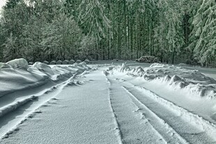 雪覆林间路车辙印深深