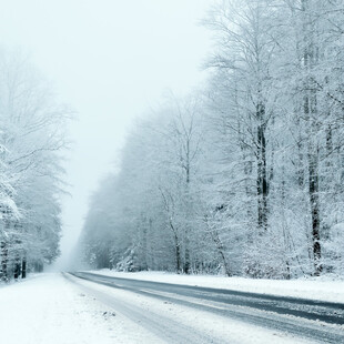 冬日雪覆公路的静谧景象