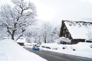 冬日雪覆村庄的静谧景象