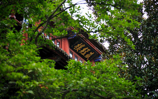 林中红顶小屋