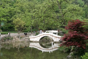 湖畔石桥映绿树美景