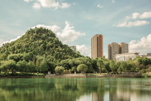 湖畔绿树与高楼景致