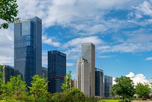 城市天际线与葱郁绿树