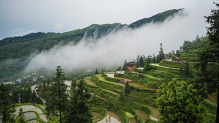 云雾缭绕的山间梯田美景