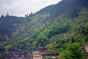 山间村落绿意环绕的美景