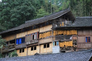 传统木质吊脚楼建筑景观
